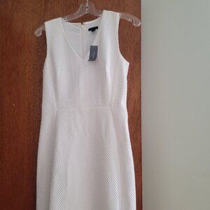 Dress beige Ann Taylor with zipper in back. Size petite